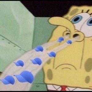 Meet your Posher, Bryce